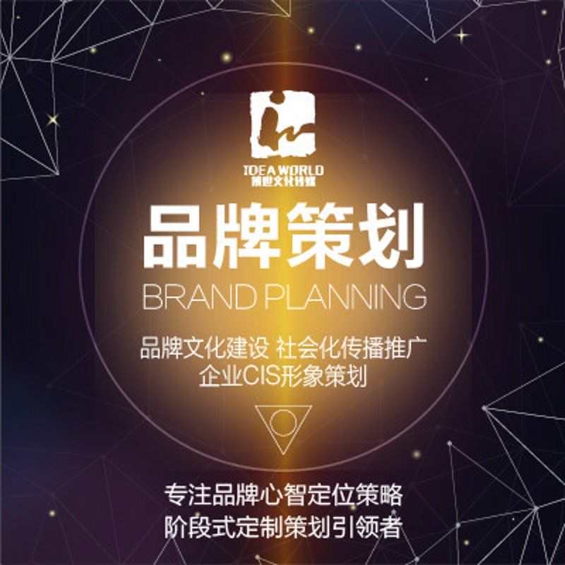 如何为您的企业量身定制一个高效且经济实惠的网站?